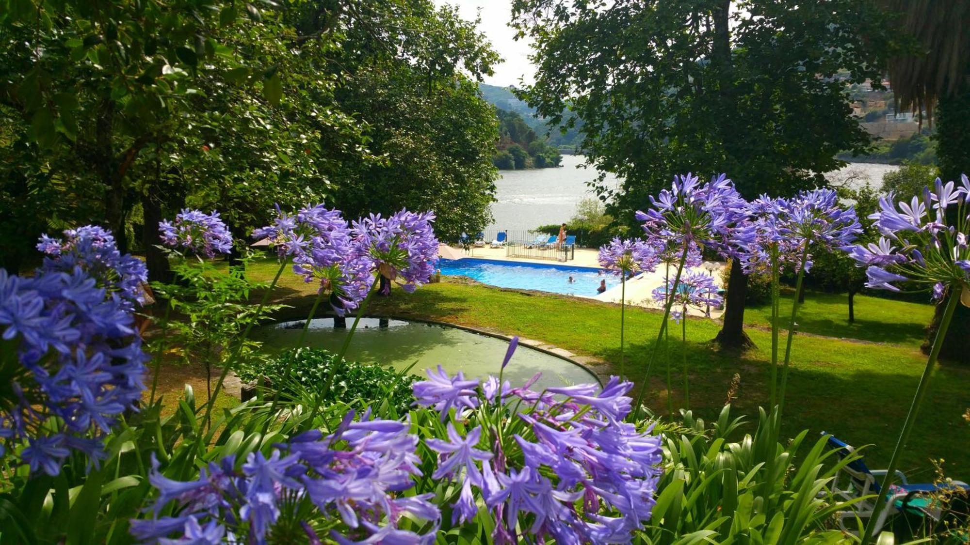 Bed and Breakfast Quinta Da Ermida - Turismo De Habitacao Baião Exteriér fotografie